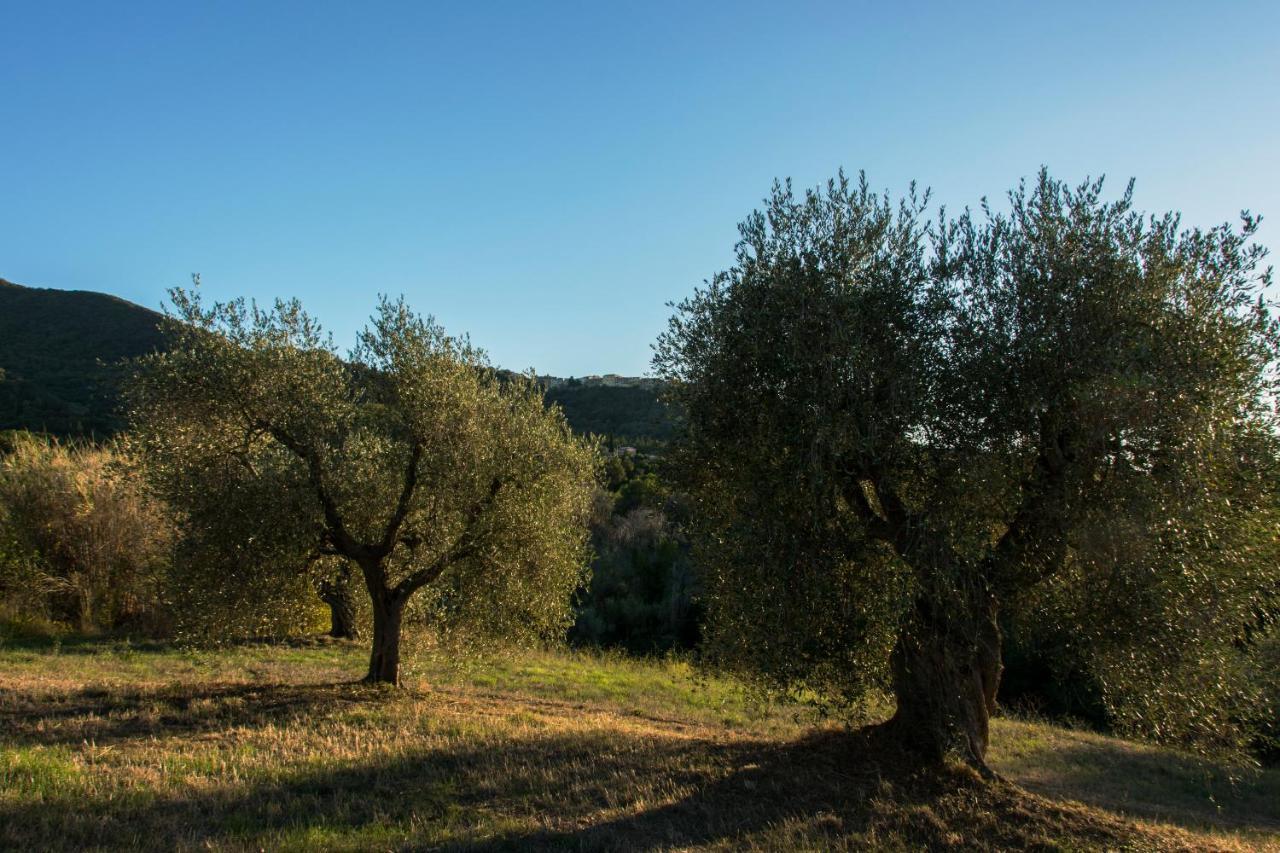 Tenuta Col Di Sasso Landhaus