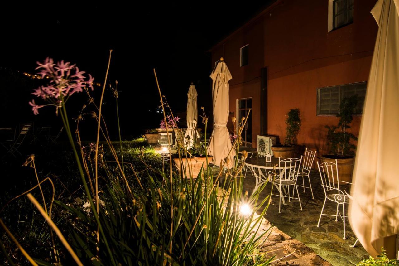 Tenuta Col Di Sasso *