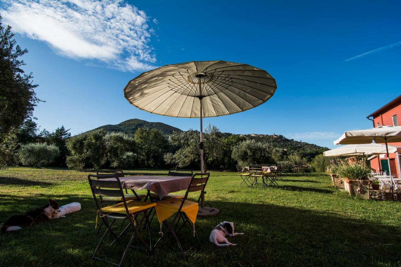 Tenuta Col Di Sasso * Scarlino