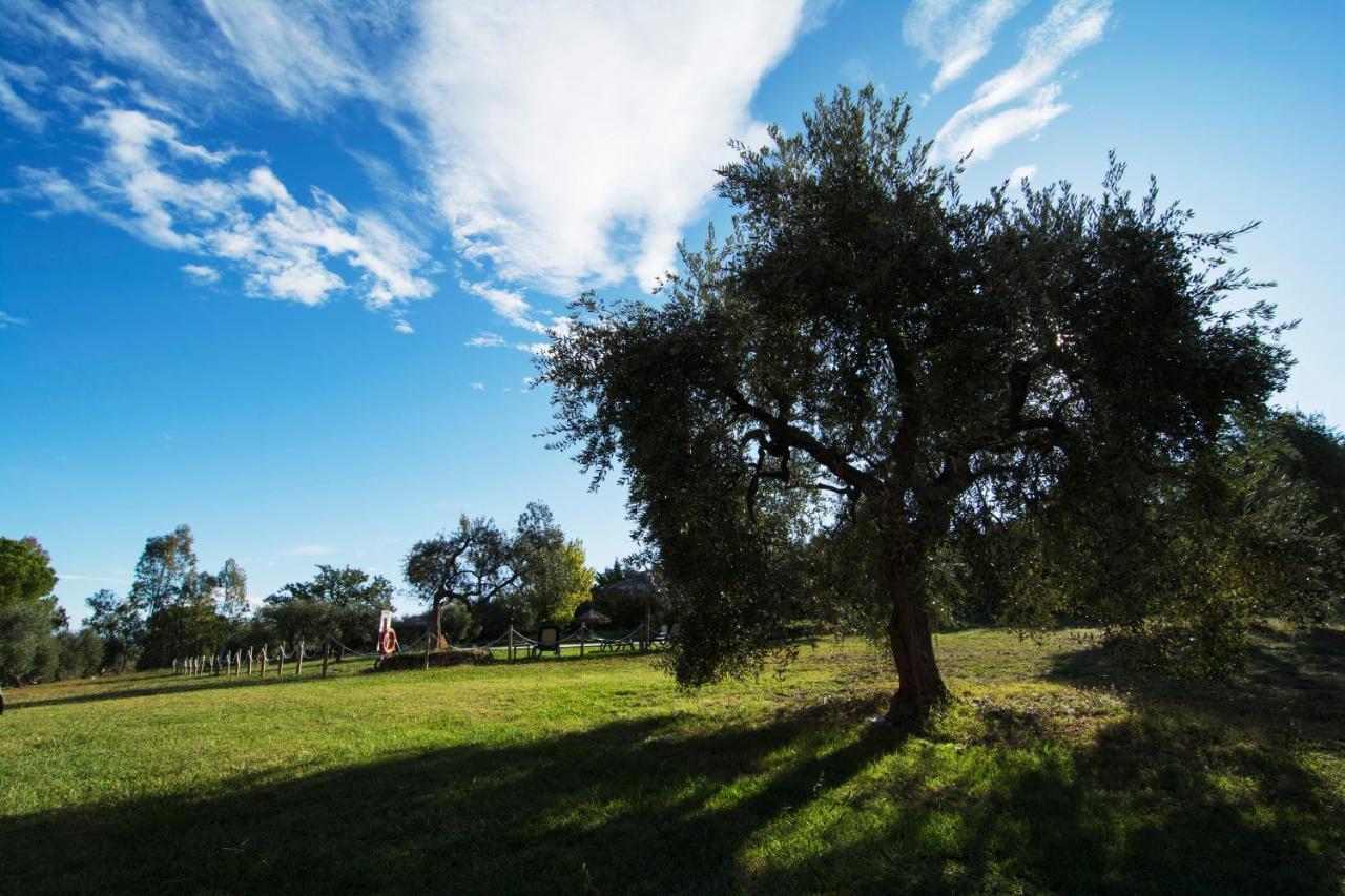 Tenuta Col Di Sasso * Scarlino