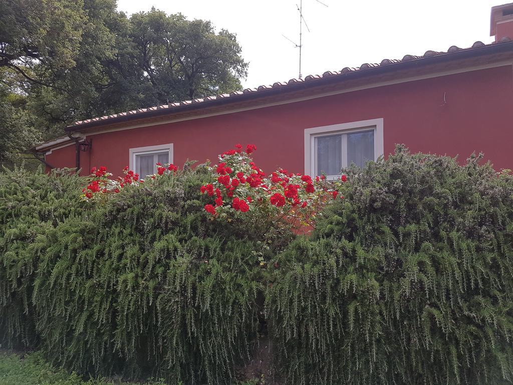 Tenuta Col Di Sasso