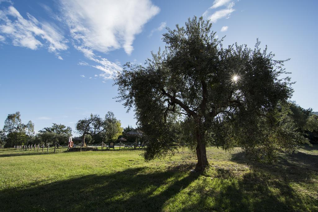 Tenuta Col Di Sasso Scarlino