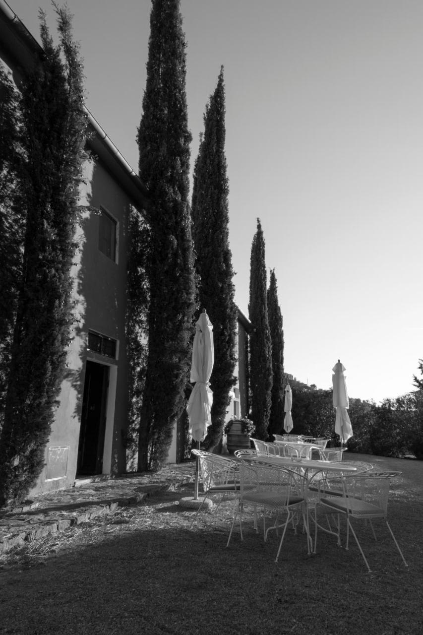 Tenuta Col Di Sasso *