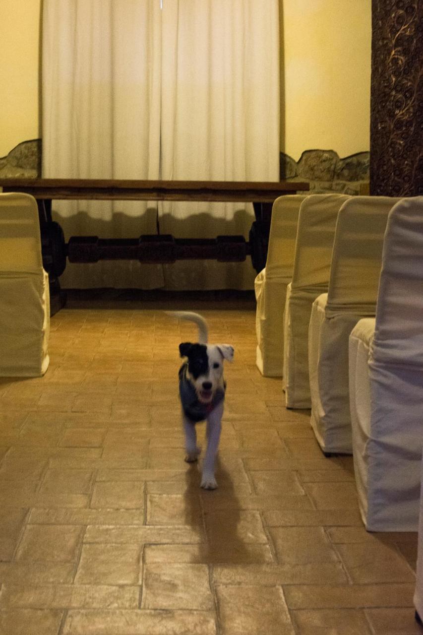 Tenuta Col Di Sasso Country house