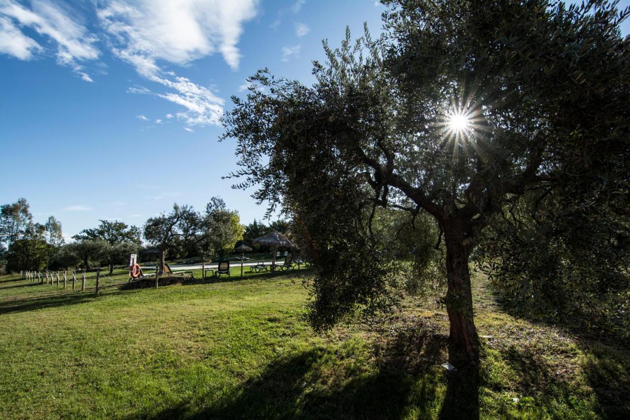 Country house Tenuta Col Di Sasso