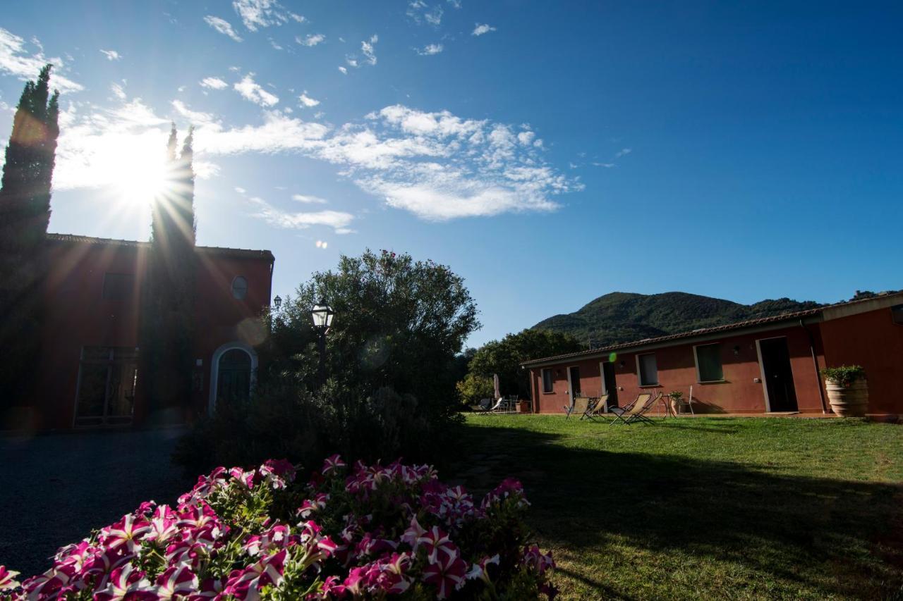 Tenuta Col Di Sasso Scarlino